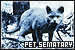 Movies: Pet Sematary